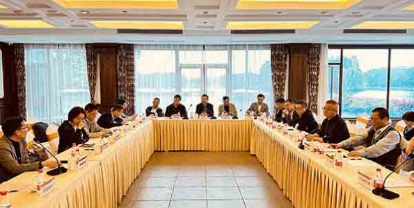 388vip太阳集团组织召开副会长座谈研讨会